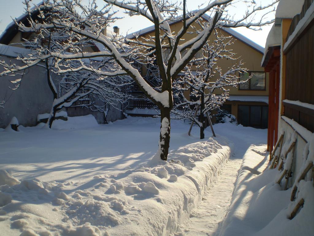 Penzion Oaza Levoča Exteriör bild